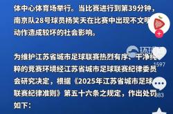 爱游戏网页版入口-联赛总决赛即将打响，球迷热切期待的简单介绍