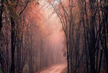 摩雷伊尔实力突飞猛进,升跻法乙排名,摩雷系列