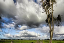 爱游戏在线登录-云达不莱梅开启中期休息,球员们积极备战再战新赛季,云达不莱梅套