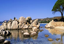 爱游戏登录入口-格雷泽主教练调整训练内容,着力提高球员技术水平,格雷泽尔