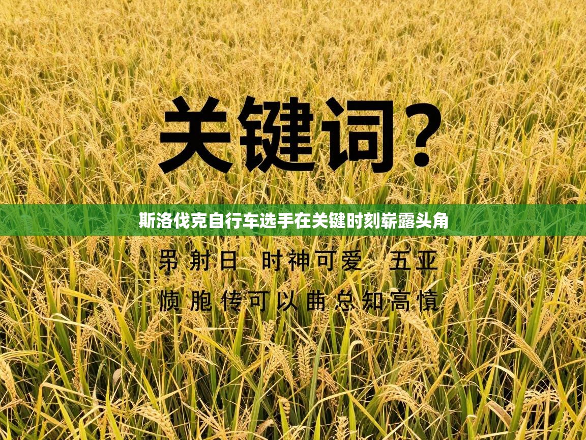 斯洛伐克自行车选手在关键时刻崭露头角  第2张