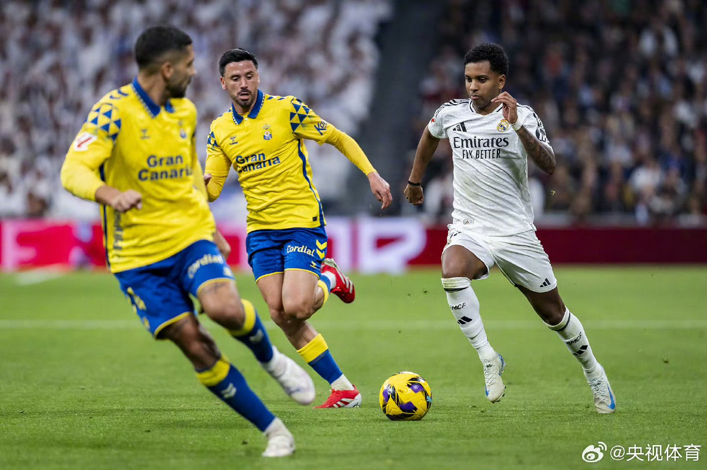 帕尔梅拉斯备战世俱杯半决赛,阿尔希拉尔状态成关键的简单介绍 帕尔梅拉斯备战世俱杯半决赛,阿尔希拉尔状态成关键的简单介绍